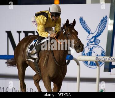 Meydan Racecourse, UAE. 19th November, 2015.   Murasil wins race 1 the Thoroughbreds ridden by Pat Dobbs at Meydan Racecourse Credit:  Tom Morgan/Alamy Live News Stock Photo