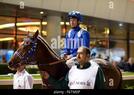 Meydan Racecourse, UAE. 19th November, 2015.   Dane O'Neill and Ajraam before the Thoroughbreds Handicap 80-94 at Meydan Racecourse Credit:  Tom Morgan/Alamy Live News Stock Photo