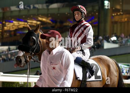 Meydan Racecourse, UAE. 19th November, 2015.   Global City is ridden out by Hector Crouch for the Thoroughbreds Handicap 74-84 at Meydan Racecourse Credit:  Tom Morgan/Alamy Live News Stock Photo