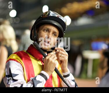 Meydan Racecourse, UAE. 19th November, 2015.   Royston Ffrench prepares before race 4 at Meydan Racecourse Credit:  Tom Morgan/Alamy Live News Stock Photo