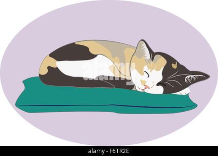 The cat with nice background isolated with nice background Stock Vector