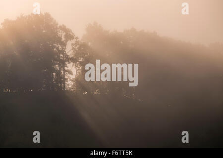 Wisp of fog Stock Photo