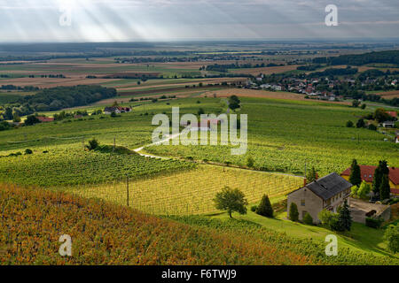 Austria, Burgenland, Eisenberg an der Pinka, vineyards Stock Photo
