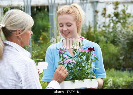 Staff Giving Plant Advice To Female Customer At Garden Center Stock Photo