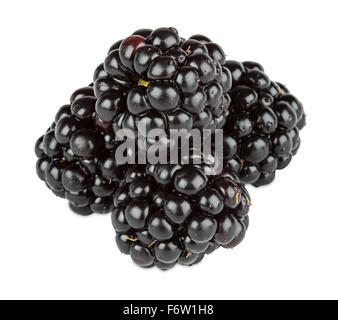 fresh blackberries on white background Stock Photo