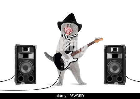 funny rock star cat with guitar and speakers on white background Stock Photo