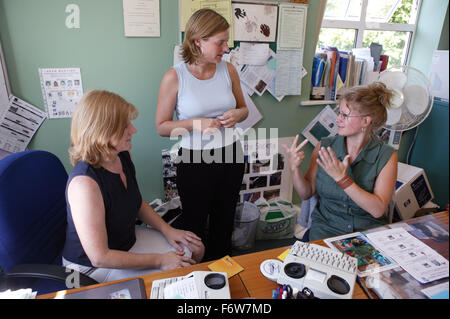 Women using sign language, Stock Photo