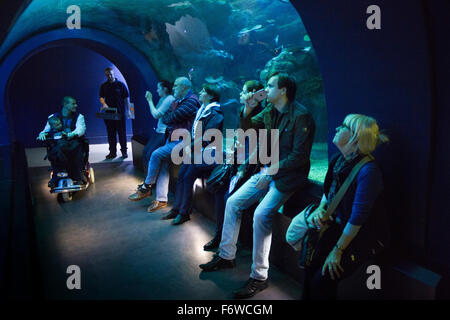 UK, England, Yorkshire, Hull, The Deep marine aquarium, Endless Ocean visitors in tunnel Stock Photo