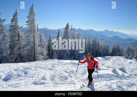 Woman back-country skiing ascending to Hoernle, Hoernle, Ammergauer Alps, Upper Bavaria, Bavaria, Germany Stock Photo