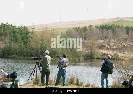 Bird watchers with long lenses at the Red Kite Centre in Bwlch Nant Yr Arian, Ponterwyd. Stock Photo