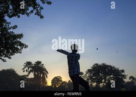 Dhaka, Bangladesh. 20th Nov, 2015. A boy playing cricket at a park in evening in Dhaka on November 20, 2015. © Zakir Hossain Chowdhury/ZUMA Wire/Alamy Live News Stock Photo