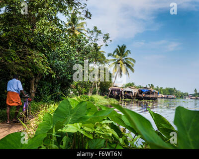 House boats on backwaters, Kochi, Kerala, India Stock Photo