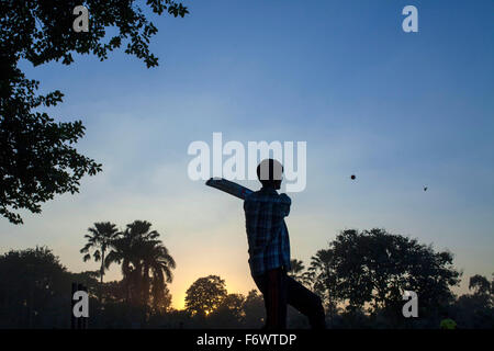 Dhaka, Bangladesh. 20th Nov, 2015. A boy playing cricket at a park in evening in Dhaka on November 20, 2015. Credit:  zakir hossain chowdhury zakir/Alamy Live News Stock Photo