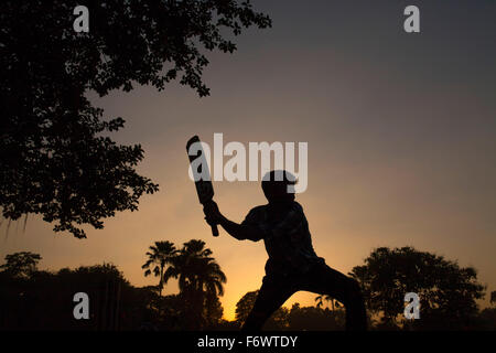 Dhaka, Bangladesh. 20th Nov, 2015. A boy playing cricket at a park in evening in Dhaka on November 20, 2015. Credit:  zakir hossain chowdhury zakir/Alamy Live News Stock Photo