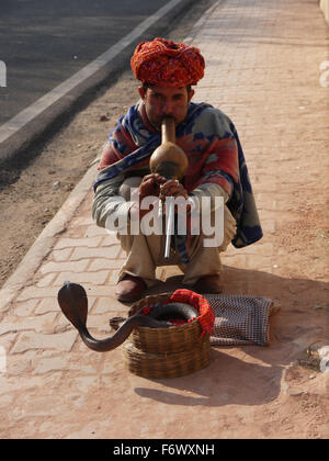 Snake Charmer  crouched down  on his knees playing his musical pipes to a swaying  snake in basket.  Jaipur streetlife Stock Photo