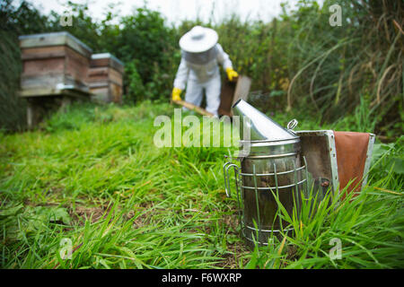Bee keeping,honey production Stock Photo