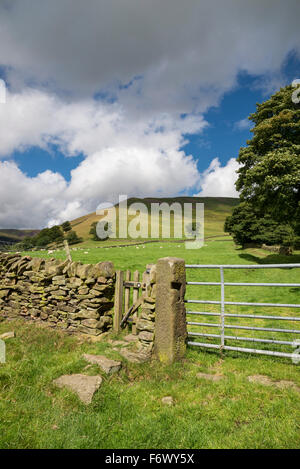 Countryside gate in the Edale Valley in the Peak District, Derbyshire. A sunny summer day. Stock Photo