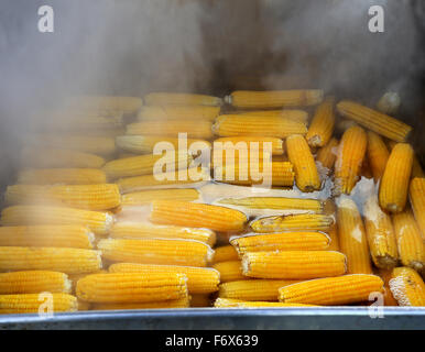 Tasty boiled corn in hot water with steam Stock Photo