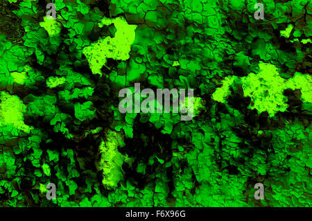 Color abstract background and desert crackle green color Stock Photo