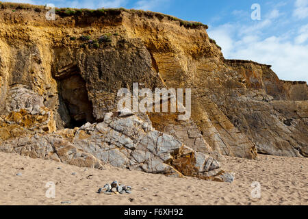 The distinctive vertical and folded Bude sandstone strata at Widemouth Bay, Cornwall, England, UK Stock Photo
