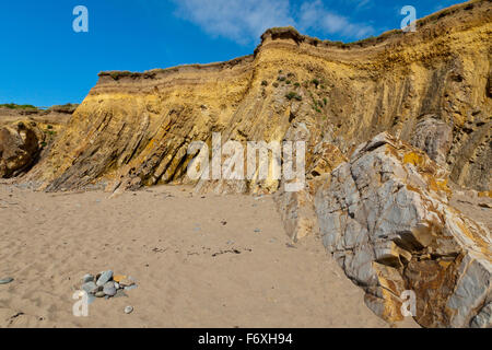 The distinctive vertical and folded Bude sandstone strata at Widemouth Bay, Cornwall, England, UK Stock Photo