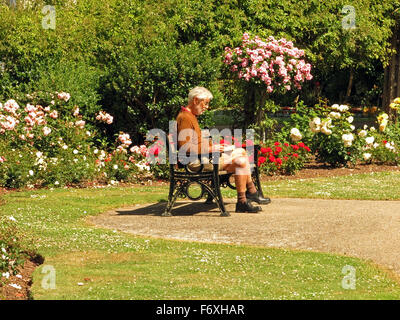 Time to sit and read in the summer sunshine amongst the flowers beds of Vivary Park in Taunton, Somerset, England, UK Stock Photo