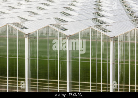 A large greenhouse seen from outside with endless roof. Stock Photo