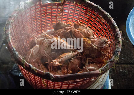 Kep crab market Cambodia fresh crabs famous Stock Photo