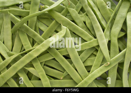 runner beans in urdu