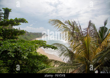 Varkala beach in Kerala state, India Stock Photo