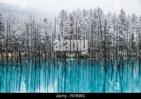 Blue Pond is a man-made water feature in Biei, Hokkaido, Japan. It is one of the world most beautiful pond and offer different view for each season. Stock Photo