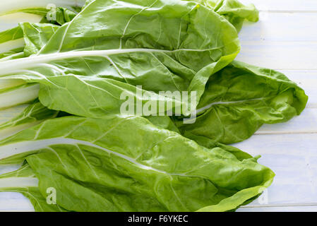 Swiss chard leaves on white painted wood Stock Photo