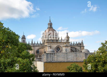 Cathedral church in Jerez de la Frontera, Cadiz province, Spain Stock ...