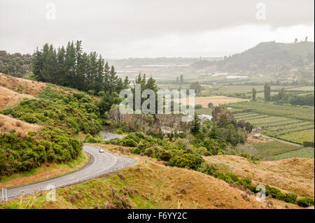 Takaka Valey, South Island, New Zealand Stock Photo