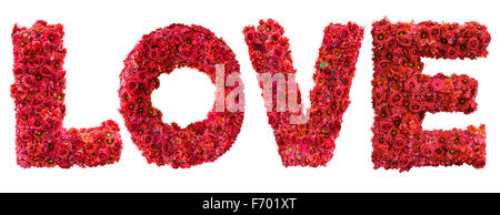 I love you of pink rose petals isolated on white Stock Photo