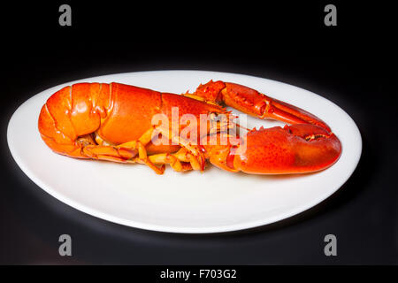 Red lobster on a white plate on a black background Stock Photo