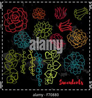 Succulents set  In the hand drawn style. Stock Vector
