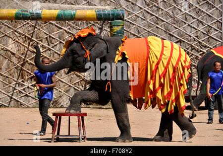 Pattaya, Thailand:   Elephant and trainers in performance at the Nong Nooch Tropical Gardens Elephant Show Stock Photo