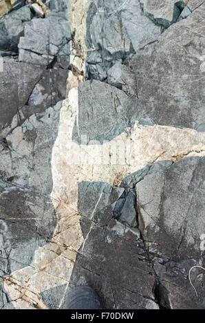 Quartz vein in granite cliffs, Hunters Head, Acadia National Park, Maine. Stock Photo