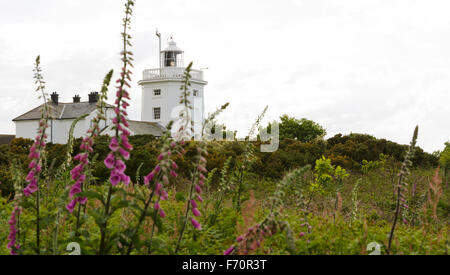 Cromer light house on Norfolk coast, UK with foliage in foreground. unsharpened. Stock Photo
