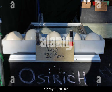 Empty ostrich eggs for sale for $25 at the Union Square Green Market in Manhattan, New York City. Stock Photo