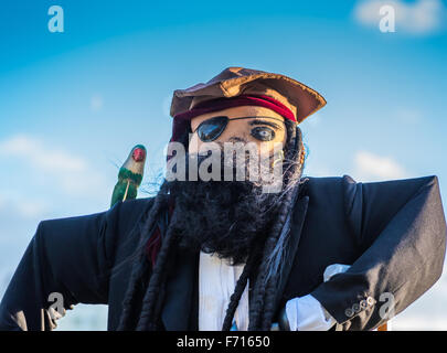 Home made pirate character scarecrow. Stock Photo