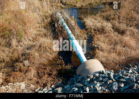 A device designed to prevent beavers or a beaver from blocking off a ...