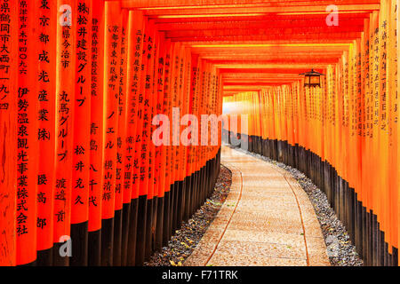 Torii gates in Fushimi Inari Shrine, Kyoto, Japan Stock Photo
