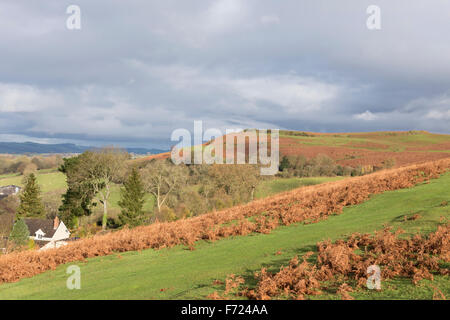 Looking west across Shropshire countryside towards Nordy Bank Iron Age hill fort, from Brown Clee Hill, Shropshire, England, UK Stock Photo