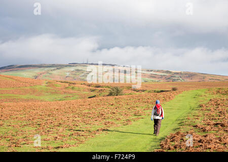 Looking towards the summit of Brown Clee Hill on a stormy winters day, Shropshire, England, UK Stock Photo