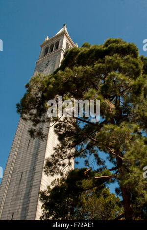 The Campanile/Sather Tower is a clock tower on the UC Berkeley campus and serves as Berkeley's most recognizable symbol. Stock Photo