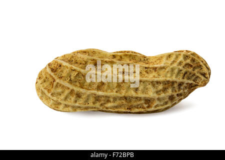 Single peanut isolated on white background and clipping path Stock Photo