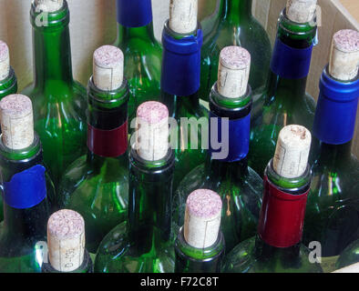 empty bottles of wine with wooden plugs standing in a row Stock Photo