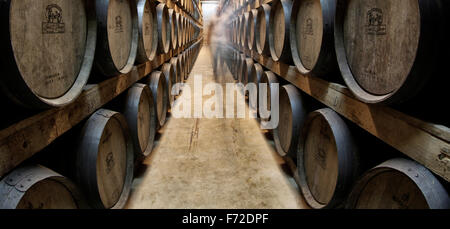Wine barrels are stacked on a cellar on a vineyard in the island of Mallorca Stock Photo
